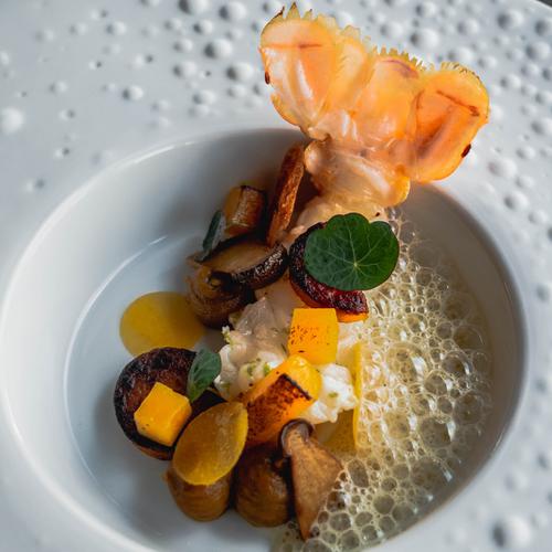 Curso cocina creativa