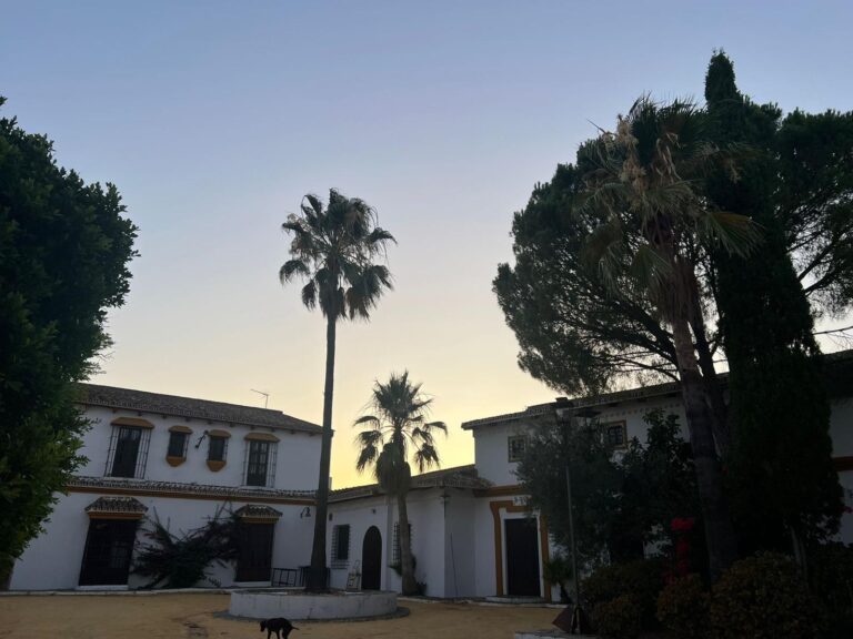 Finca El Morrito2