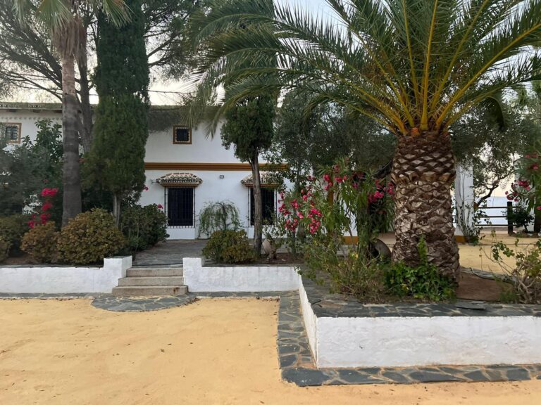 Finca El Morrito3