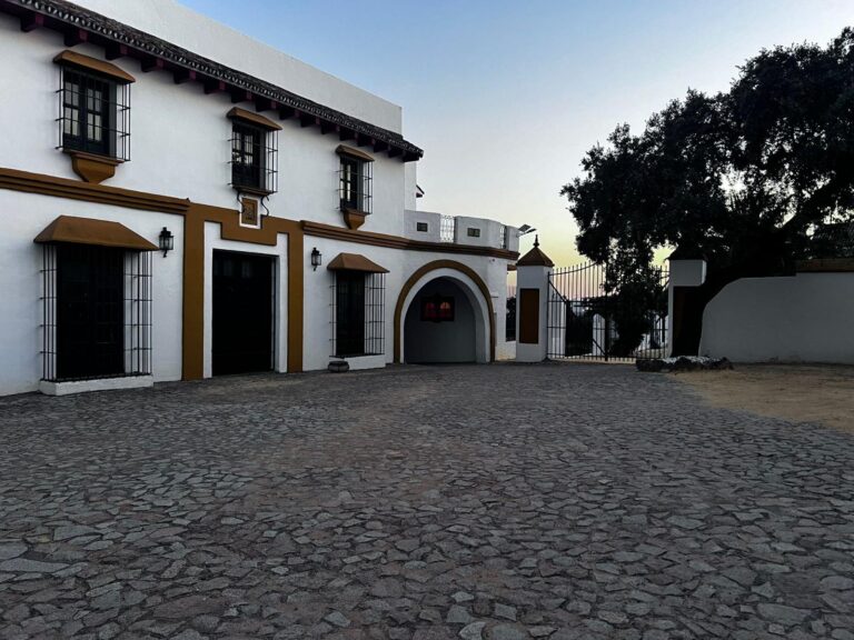 Finca El Morrito4
