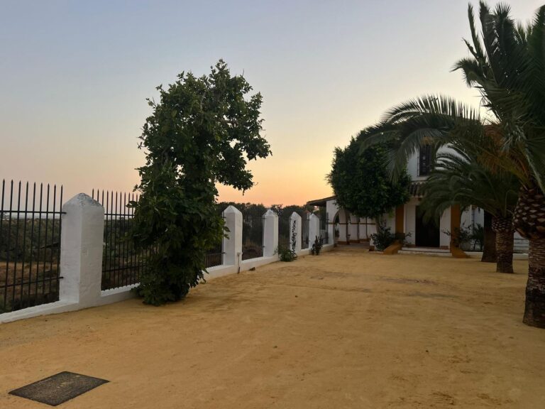 Finca El Morrito5
