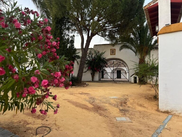 Finca El Morrito6